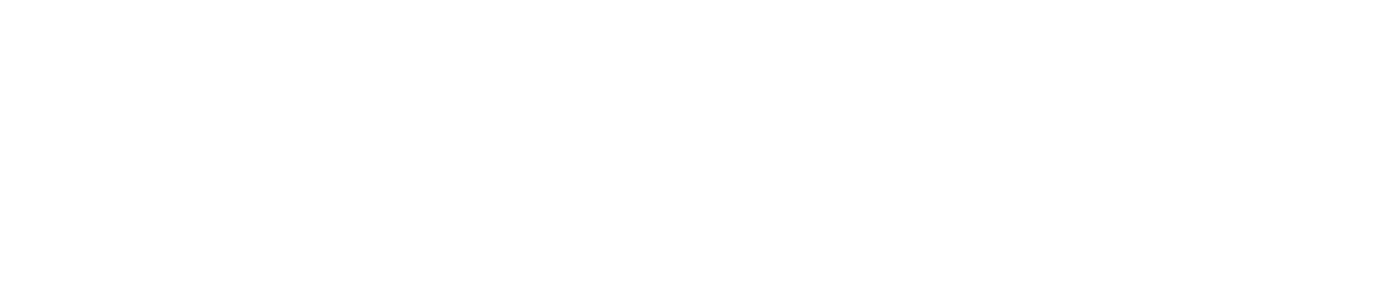 Persona Vision